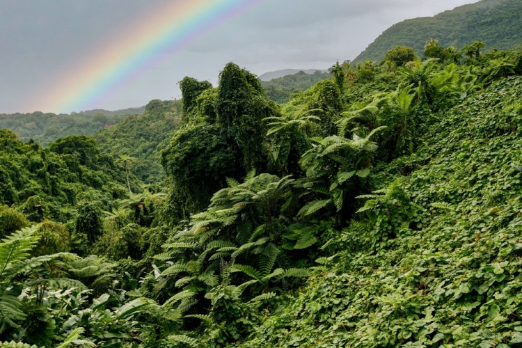 Is Vanuatu Safe?