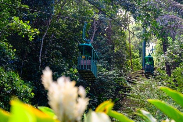 St. Lucia Tram Tour