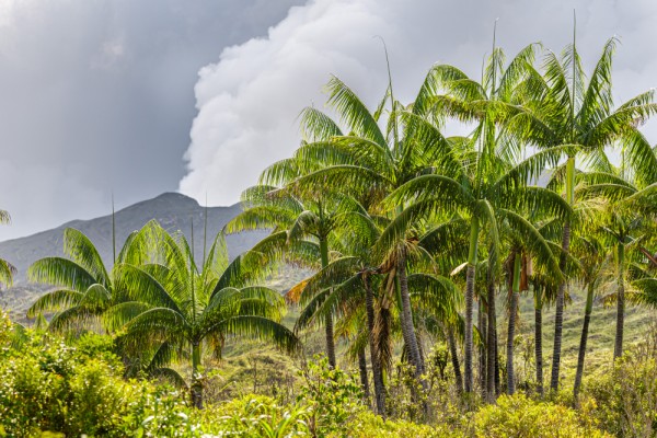 Volcano in Vanuatu