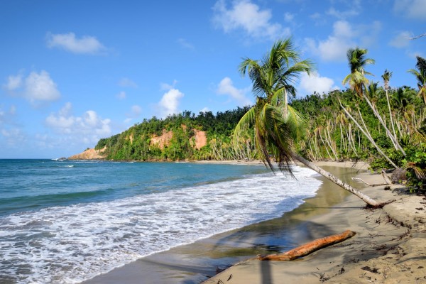 Batibou beach Dominica